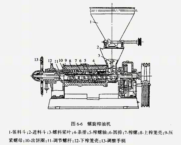 雙象榨油機(jī)講解：如何維護(hù)和保養(yǎng)榨油機(jī)？